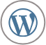Hire WordPress Developer Icon
